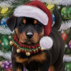 Meet your Posher, Alison